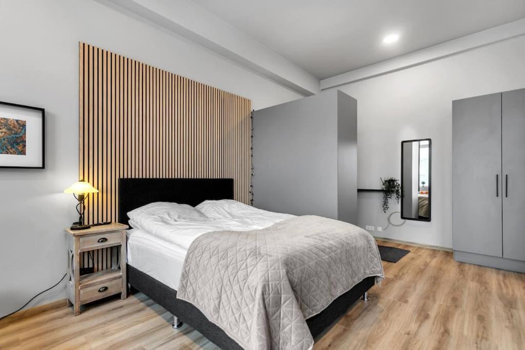 Charming Studio Apartment Reykjavík Exteriér fotografie